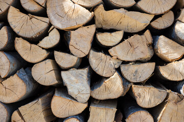 Poster - Pile of tree stumps on a wood storage