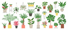 Big Set Of Home Plants Isolated On A White Background. Collection Of Indoor Plants In Pots. Home Decor. Vector Illustration In Flat Style.