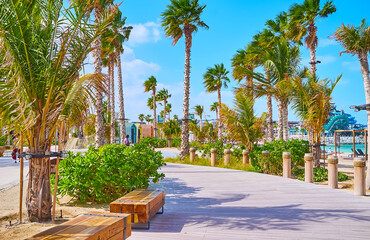 Sticker - The lush greenery on La Mer public beach, Dubai, UAE