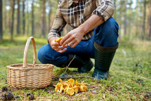 Picking Season And Leisure People Concept - Close Up Of Middle Aged Man With Wicker Basket And Mushrooms In Autumn Forest