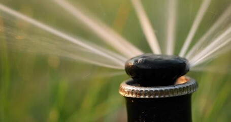 Wall Mural - Nozzle automatic lawn watering macro close up