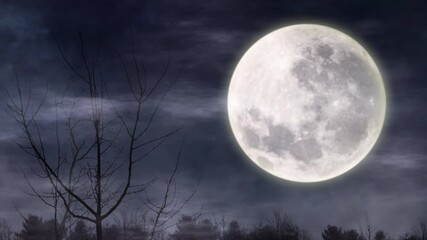 Wall Mural - spooky forest with glowing moon at midnight time