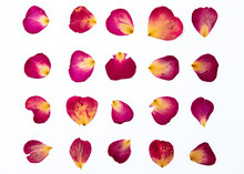 Grid Of Home-made Pressed Rose Petals On White Background