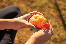 Female Hands Peeling Mandarin