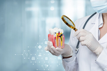 Wall Mural - Dentist looks at the affected tooth with caries through a magnifying glass.