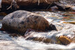 Water rushing over colorful rocks