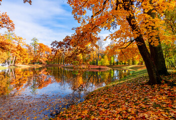 Wall Mural - Alexander park in autumn, Pushkin (Tsarskoe Selo), Saint Petersburg, Russia