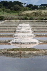 Canvas Print - Salt marshes of Guerande 