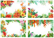 Set with Frames and with tropical plants and flowers