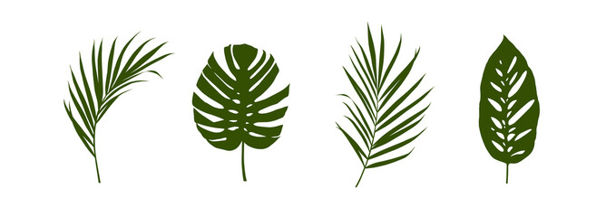 Wall Mural - Set of tropical leaves silhouettes isolated on white background.