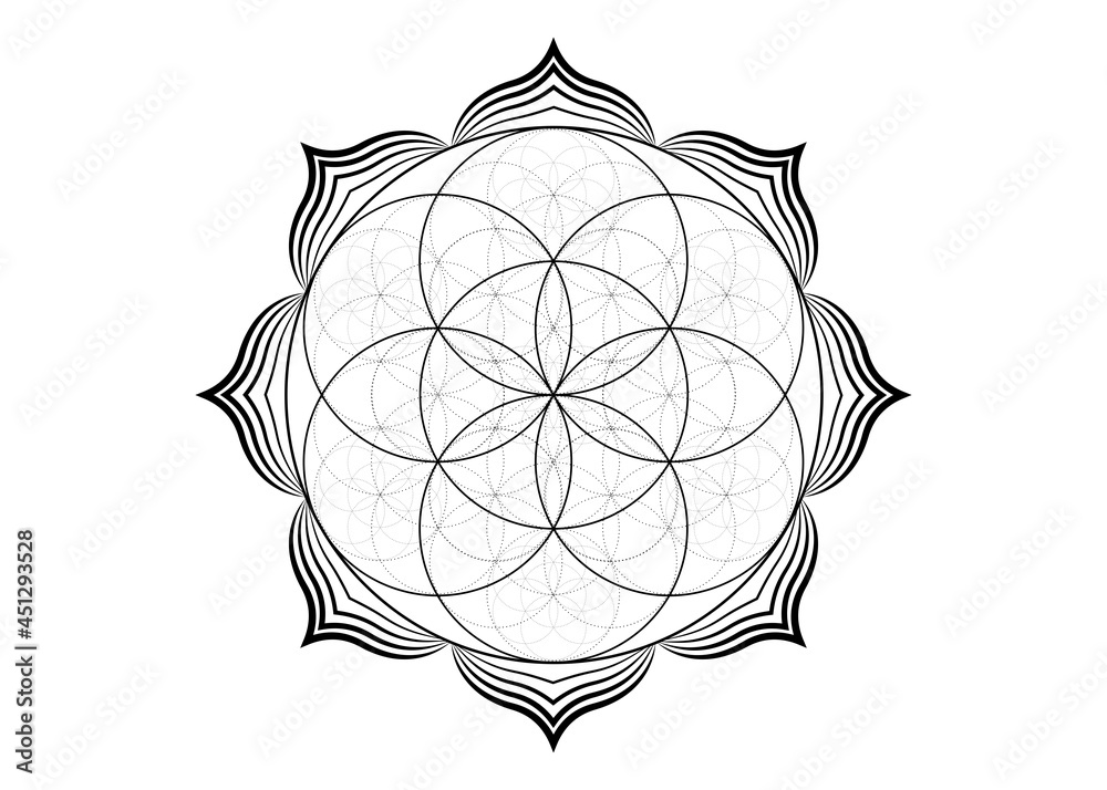 Seed Flower of life lotus icon, yantra mandala sacred geometry, tattoo symbol of harmony and balance. Mystical talisman, black lines vector isolated on white background  - obrazy, fototapety, plakaty 