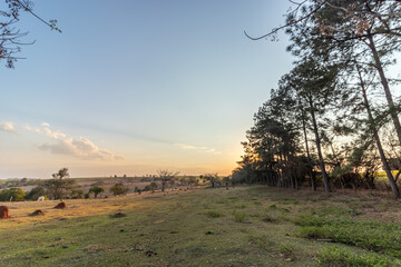 Wall Mural - paisagem de pôr-do-sol na fazenda