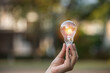 © maeching - Light bulbs that grow, in the concept of energy in nature.