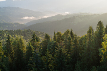 Dolina potoku Czercz, Beskid Sądecki, Piwniczna-Zdrój. Widok z Eliaszówki