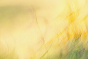 Abstract yellow gradient natural backgroung. Blurred summer scene.