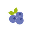 © sljubisa - Blueberry silhouette icon isolated on white background