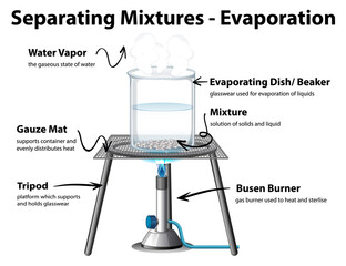 Wall Mural - diagram showing evaporation separating mixtures