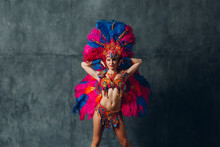 Woman In Brazilian Samba Carnival Costume With Colorful Feathers Plumage.
