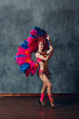 Wall Mural - Woman in brazilian samba carnival costume with colorful feathers plumage.