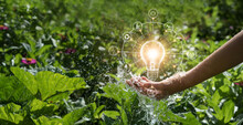 Hands Of Men Holding And Glowing Light Bulb In The Splash Water. Symbol. Against Nature On Green Leaf Background With Icons Energy Sources For Renewable, Sustainable Development. Ecology Concept.