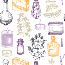 Provence Seamless Pattern. Hand-sketched Aromatic And Medicinal Plants Background. Perfect For Cosmetics, Perfumery, Soap, Candle Making, Label, Packaging. Provence Herbs Backdrop.