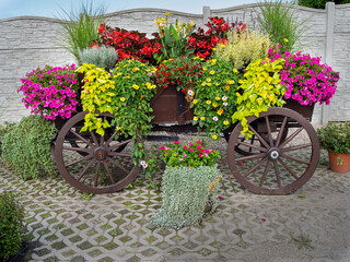 Wall Mural - horse cart in flowers