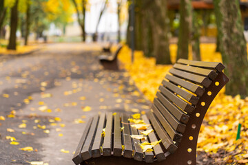 Wall Mural - Cozy bench for rest in an autumn park with yellow leaves. Autumn mood