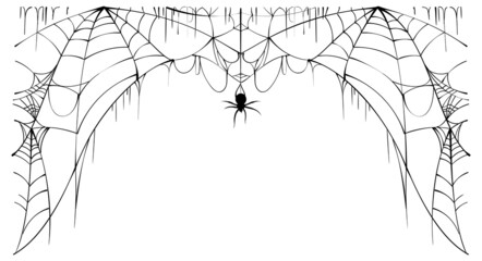 Wall Mural - scary spider web and poisonous spider top frame on white background symbol of halloween