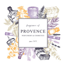 Provence Perfumery And Cosmetics Design. Hand-sketched Ingredients For Perfume, Candle And Soap Making.