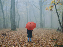 Woman With Red Umbrella In Forest Nature Fog Travel