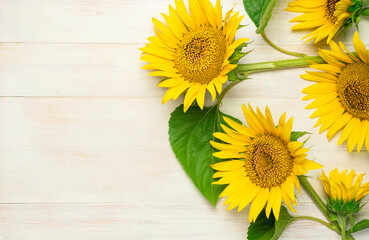 Fotomurales - Yellow sunflowers, green leaves on white wooden background top view copy space. Beautiful fresh sunflowers, yellow flowers bouquet. Harvest time farming Agriculture autumn or summer floral background
