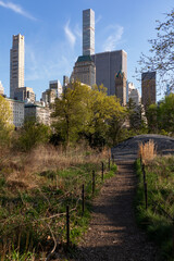 Wall Mural - Midtown Manhattan Skyline seen from an Empty Trail with Plants at Central Park in New York City during Spring