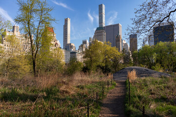 Wall Mural - Midtown Manhattan Skyline seen from an Empty Trail with Plants at Central Park in New York City during Spring