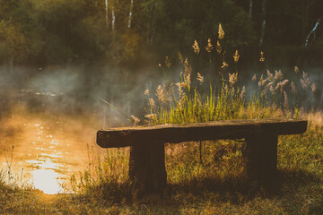 Wall Mural - bench in the morning