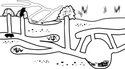 Poster - Coloring page. Scheme of structure of underground mole tunnels with earthworms and European mole (Talpa europaea)