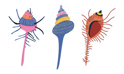 Poster - Doodle Ornamental Seashell with Hard Marine Shell Vector Set