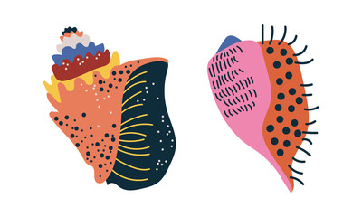 Poster - Doodle Ornamental Seashell with Hard Marine Shell Vector Set