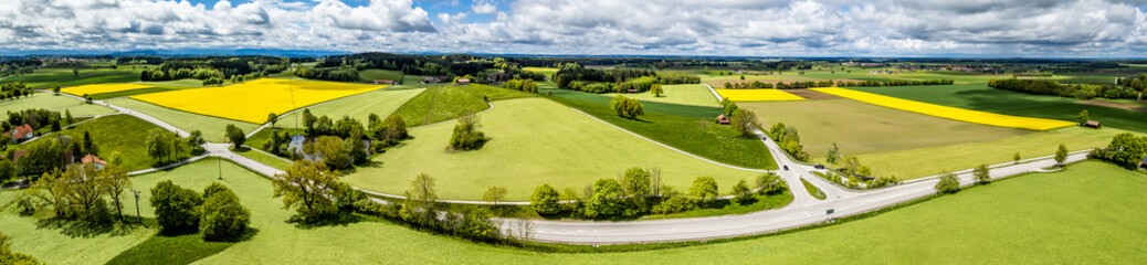 Wall Mural - nice field - landscape