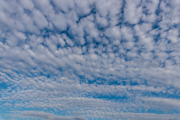 Wall Mural - Blue Sky with clouds for Sky Replacement