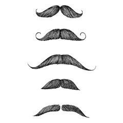 Wall Mural - Hand drawn moustache isolated on background