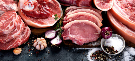 Wall Mural - Different types of raw meat on black background