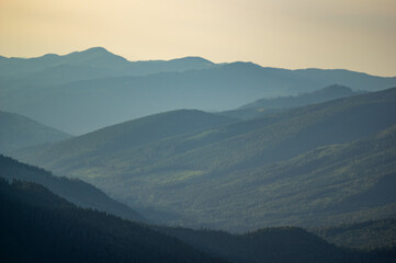 Wall Mural - panorama of the carpathian mountains, beautiful summer landscape