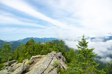 Wall Mural - rock among the forest on the background of the carpathian mountains in summer
