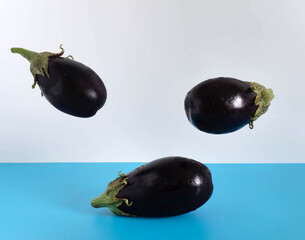 Fresh flying vegetables on a blue-white background. Eggplants.