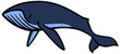 © puruan - watercolor style whale hand drawn vector illustration.