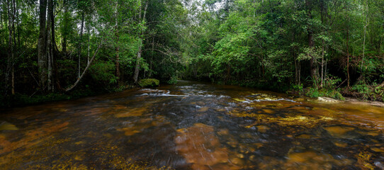 Aufkleber - Panoramic beautiful deep forest stream in Thailand