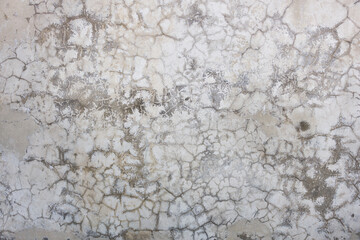 Poster - the old concrete wall is grey. stone texture for design