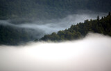 Fototapeta Na ścianę - Krajobraz leśny wierzchołki drzew las we mgle