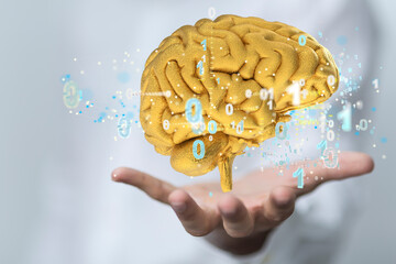 Leinwandbilder - 3d rendered medically accurate illustration brain