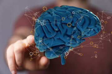 Leinwandbilder - Human brain Anatomical Model 3d